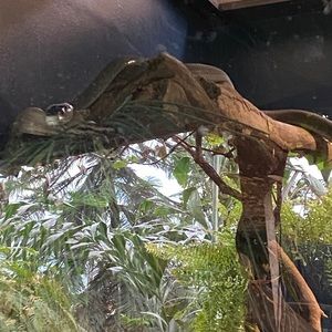 Meet your Posher, Travis